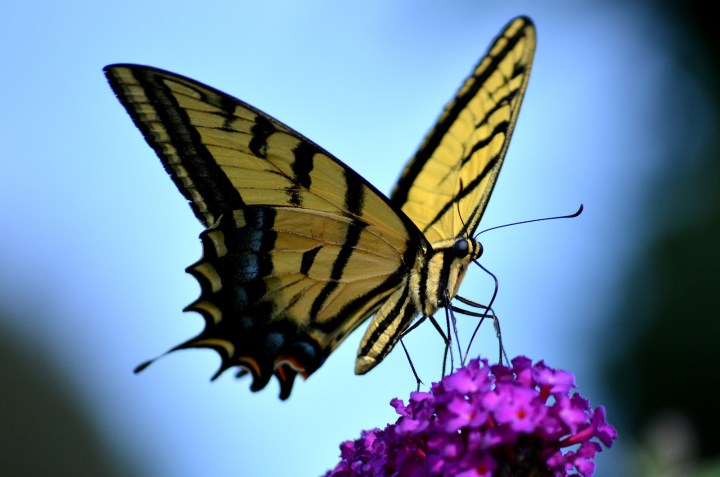 Motivational Monday: Embrace&nbsp;change